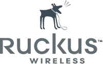 Ruckus Wireless